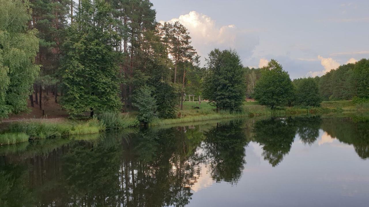 Garden Studio By The Lake With Air-Con And Infrasauna Druskininkai Exteriér fotografie